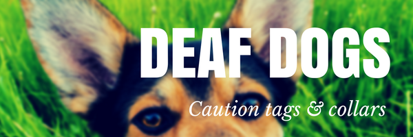 Deaf dog products